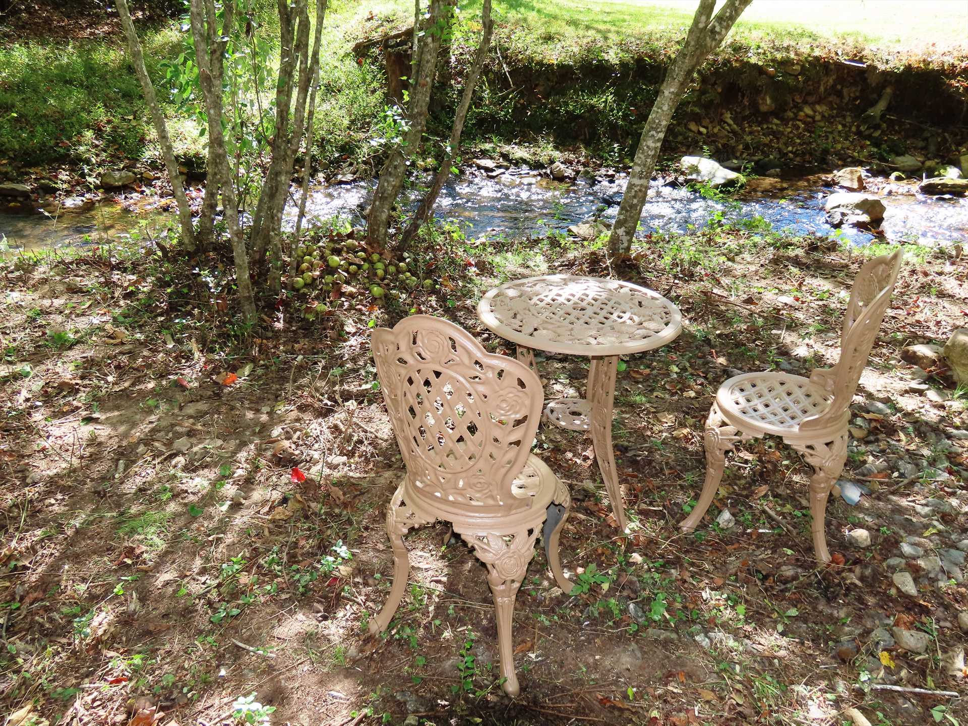 Creek Side Picnic Spot